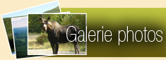 Galerie photos